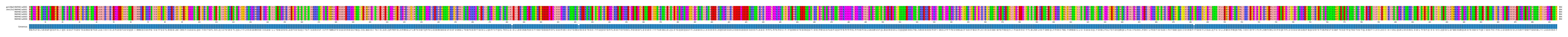 Multiple Alignments (by translate haplotype frequency)