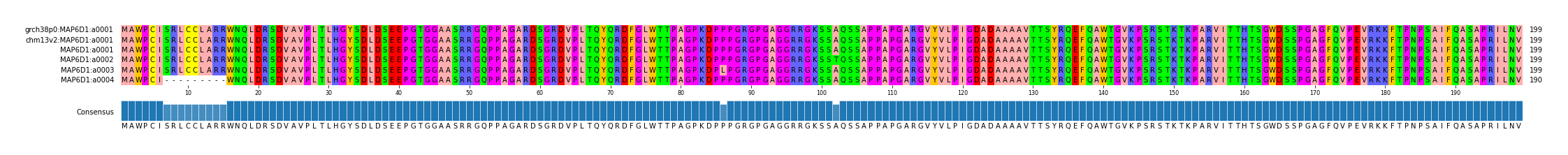 Multiple Alignments (by translate haplotype frequency)