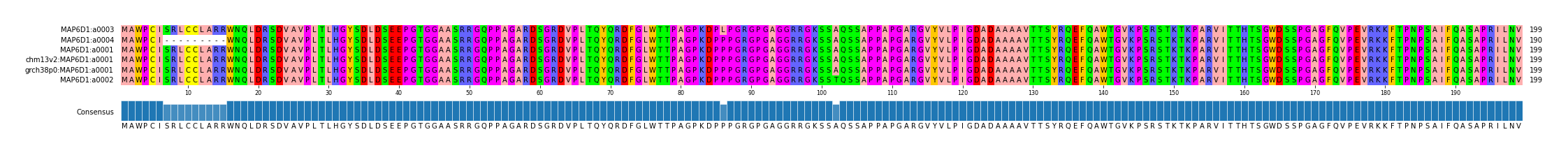 Multiple Alignments (by translate haplotype similarity)