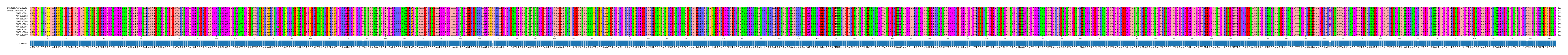 Multiple Alignments (by translate haplotype frequency)