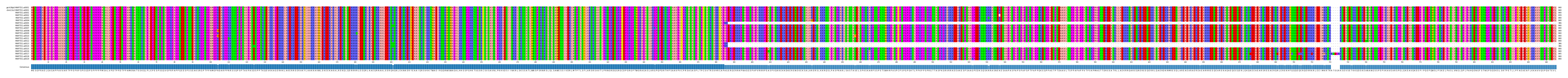 Multiple Alignments (by translate haplotype frequency)