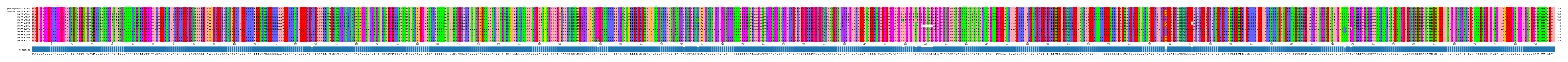 Multiple Alignments (by translate haplotype frequency)