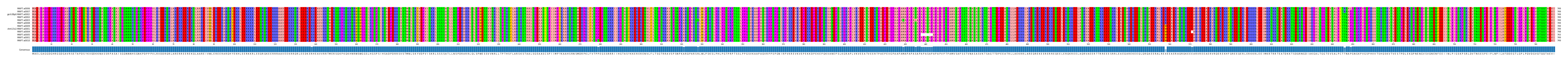 Multiple Alignments (by translate haplotype similarity)