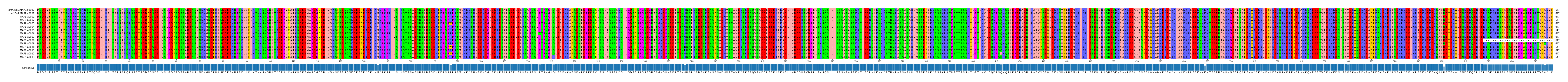 Multiple Alignments (by translate haplotype frequency)