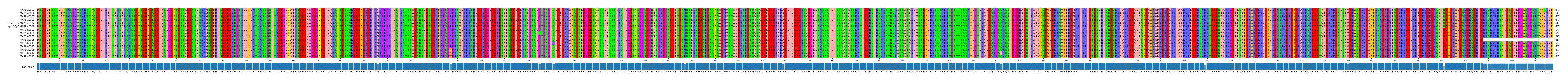 Multiple Alignments (by translate haplotype similarity)