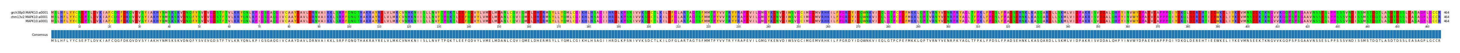 Multiple Alignments (by translate haplotype similarity)