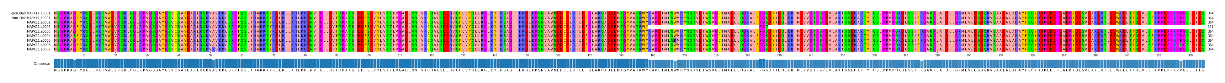 Multiple Alignments (by translate haplotype frequency)