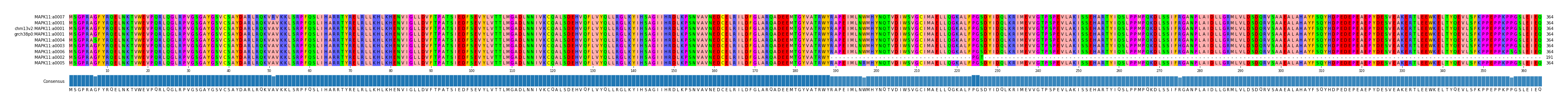 Multiple Alignments (by translate haplotype similarity)