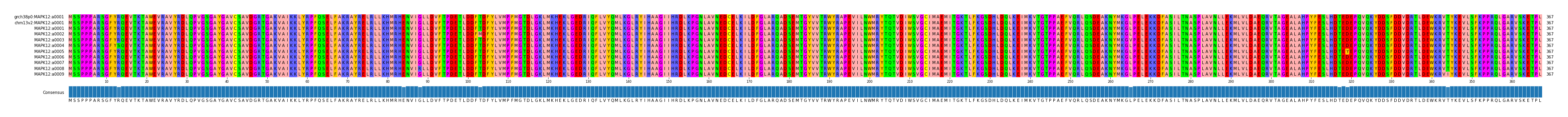 Multiple Alignments (by translate haplotype frequency)