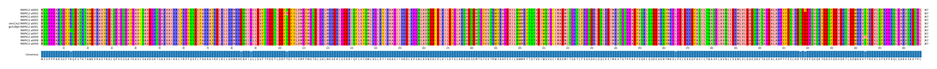 Multiple Alignments (by translate haplotype similarity)