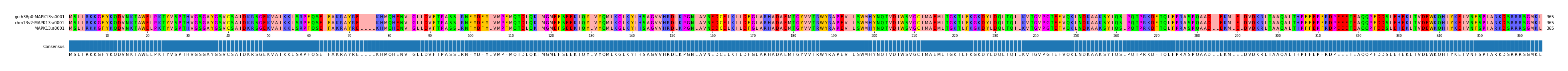 Multiple Alignments (by translate haplotype frequency)