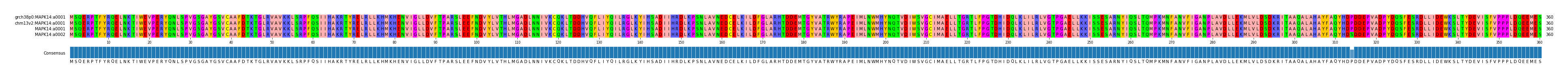 Multiple Alignments (by translate haplotype similarity)