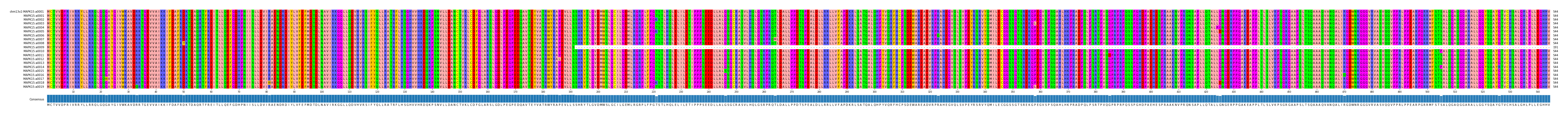 Multiple Alignments (by translate haplotype frequency)