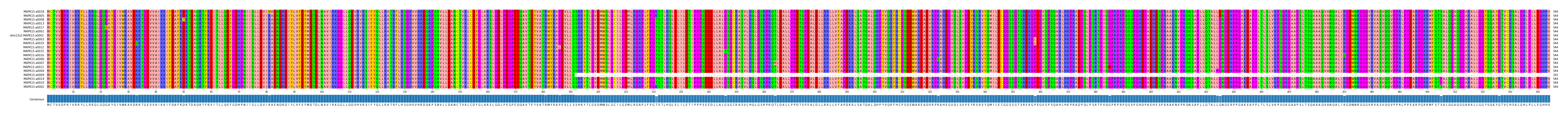 Multiple Alignments (by translate haplotype similarity)