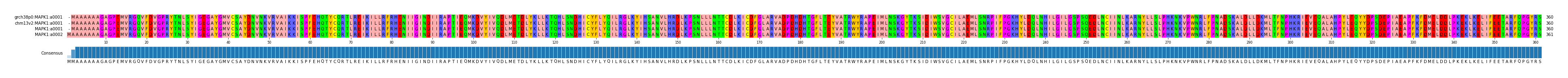 Multiple Alignments (by translate haplotype similarity)