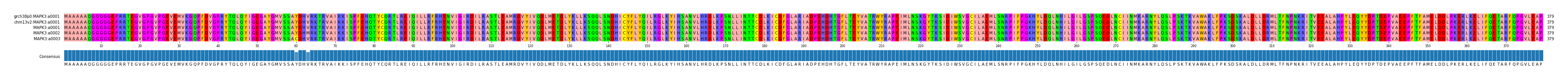 Multiple Alignments (by translate haplotype frequency)