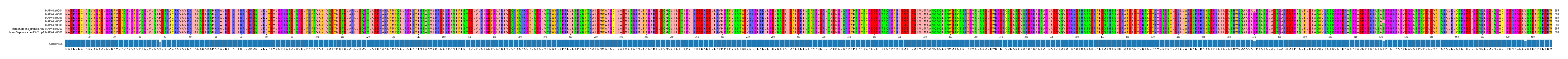 Multiple Alignments (by translate haplotype similarity)