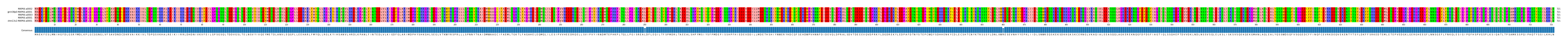 Multiple Alignments (by translate haplotype similarity)