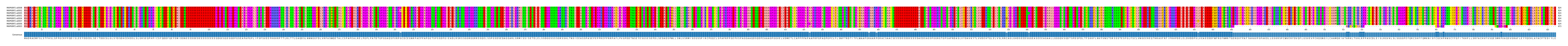 Multiple Alignments (by translate haplotype similarity)