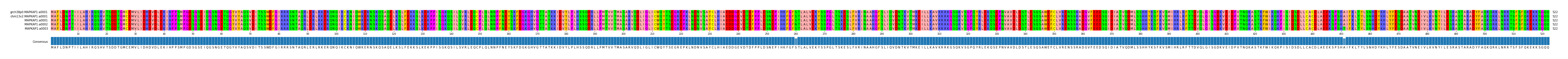 Multiple Alignments (by translate haplotype frequency)