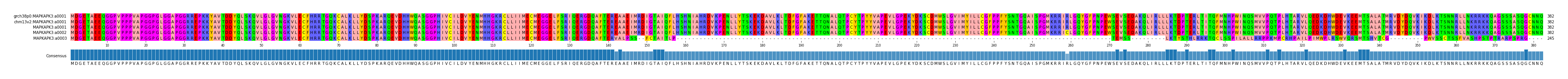 Multiple Alignments (by translate haplotype similarity)