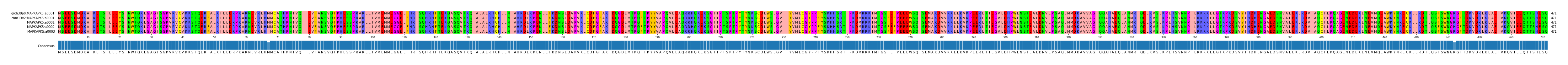 Multiple Alignments (by translate haplotype frequency)