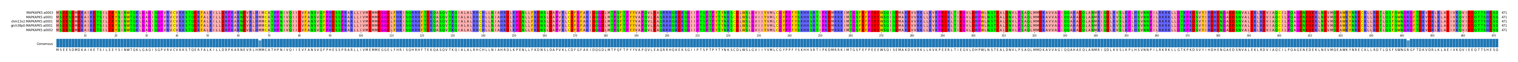 Multiple Alignments (by translate haplotype similarity)