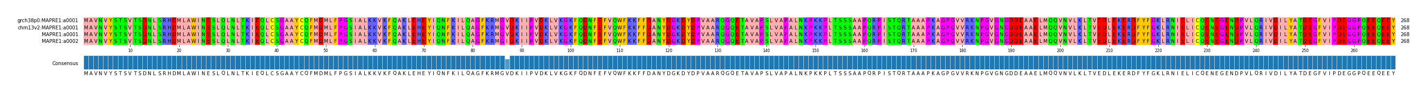 Multiple Alignments (by translate haplotype similarity)