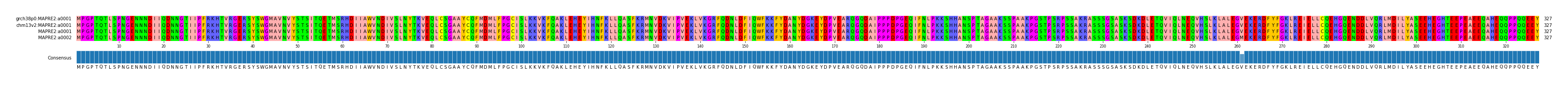 Multiple Alignments (by translate haplotype similarity)