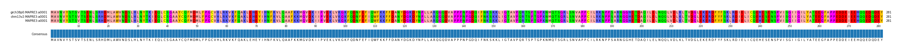 Multiple Alignments (by translate haplotype similarity)