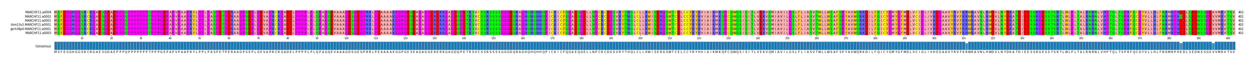 Multiple Alignments (by translate haplotype similarity)