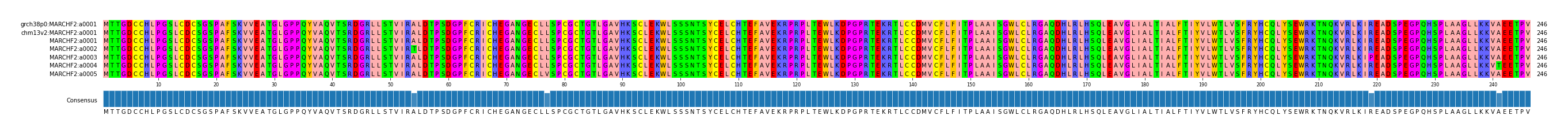 Multiple Alignments (by translate haplotype frequency)