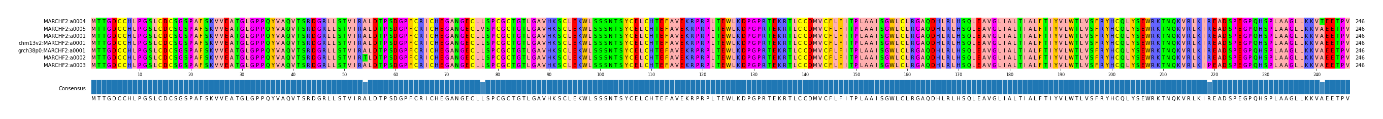 Multiple Alignments (by translate haplotype similarity)