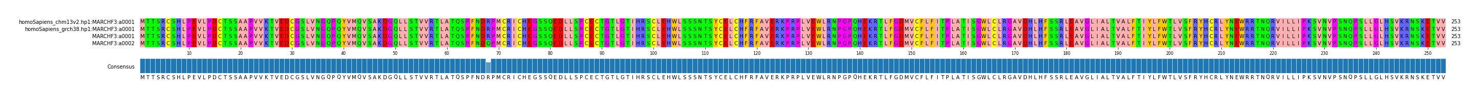 Multiple Alignments (by translate haplotype similarity)