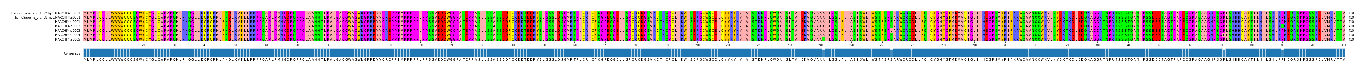 Multiple Alignments (by translate haplotype frequency)