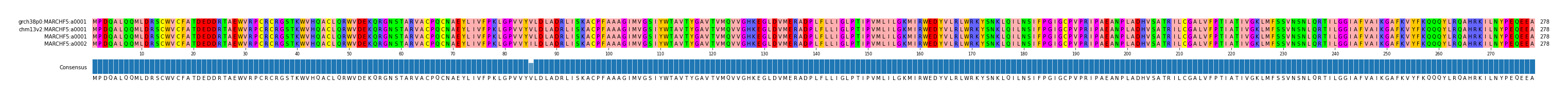 Multiple Alignments (by translate haplotype similarity)