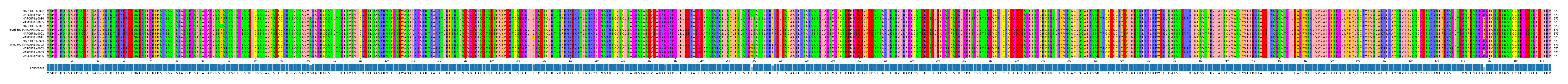 Multiple Alignments (by translate haplotype similarity)