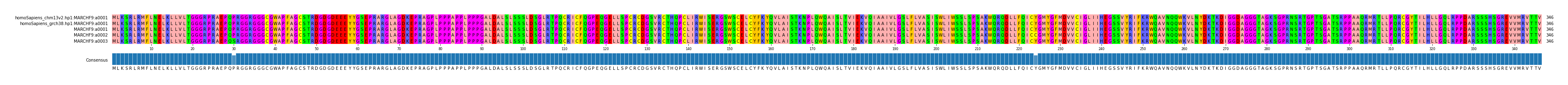 Multiple Alignments (by translate haplotype frequency)