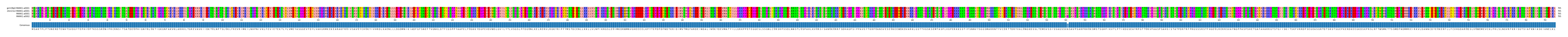 Multiple Alignments (by translate haplotype similarity)