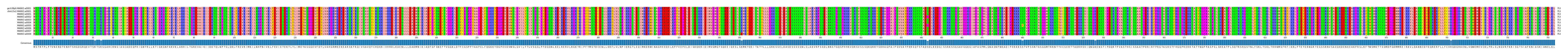 Multiple Alignments (by translate haplotype frequency)