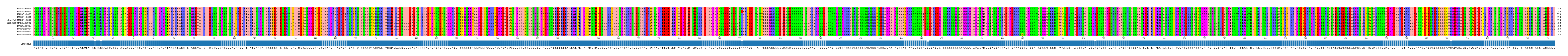Multiple Alignments (by translate haplotype similarity)
