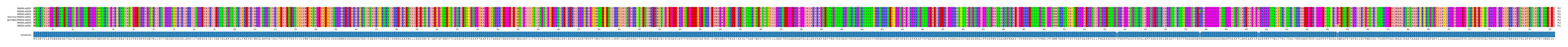 Multiple Alignments (by translate haplotype similarity)