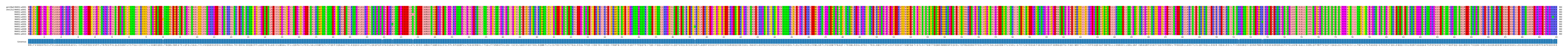 Multiple Alignments (by translate haplotype frequency)