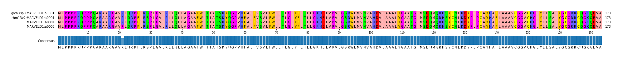 Multiple Alignments (by translate haplotype similarity)
