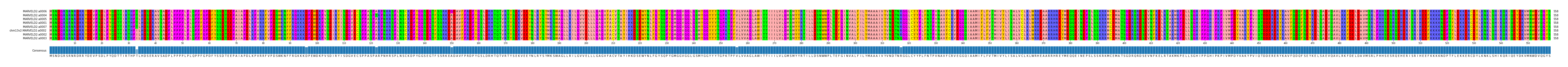 Multiple Alignments (by translate haplotype similarity)