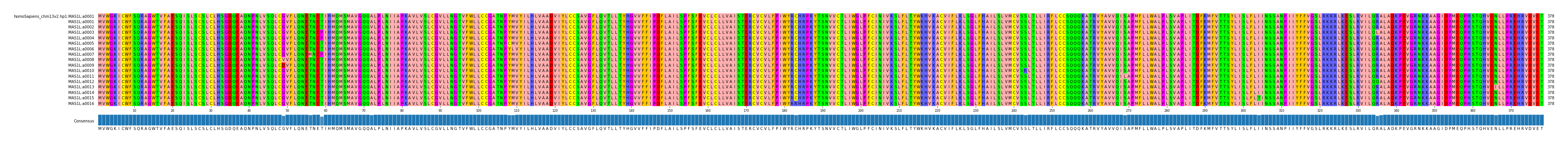 Multiple Alignments (by translate haplotype frequency)
