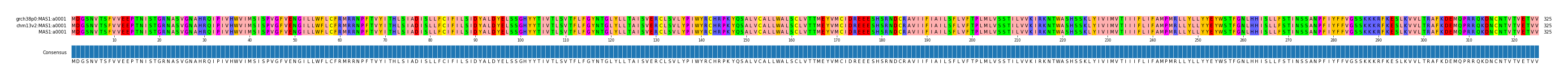 Multiple Alignments (by translate haplotype similarity)