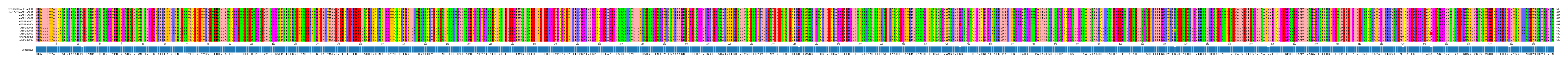 Multiple Alignments (by translate haplotype frequency)