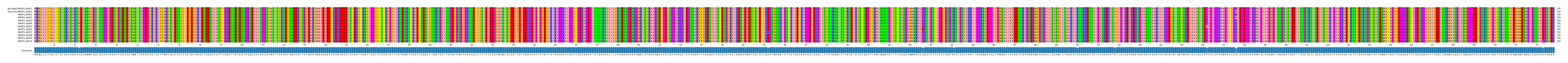 Multiple Alignments (by translate haplotype frequency)