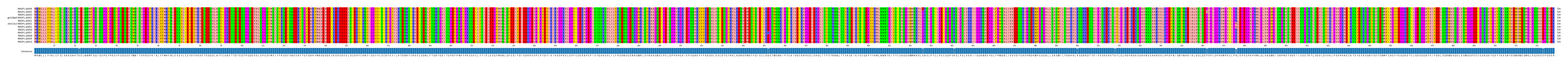 Multiple Alignments (by translate haplotype similarity)